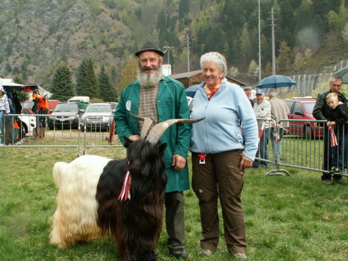 Tapul Walliser cu stapanii lui