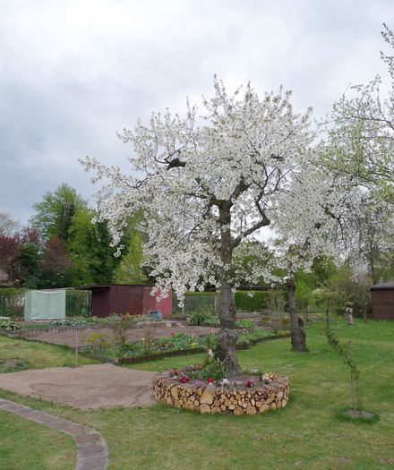 ; P1440036 (859x1024)
