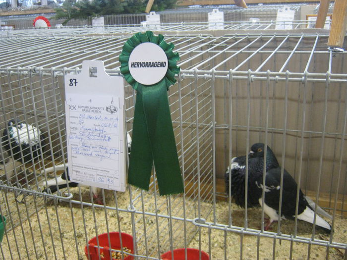 eferding_haslach 101