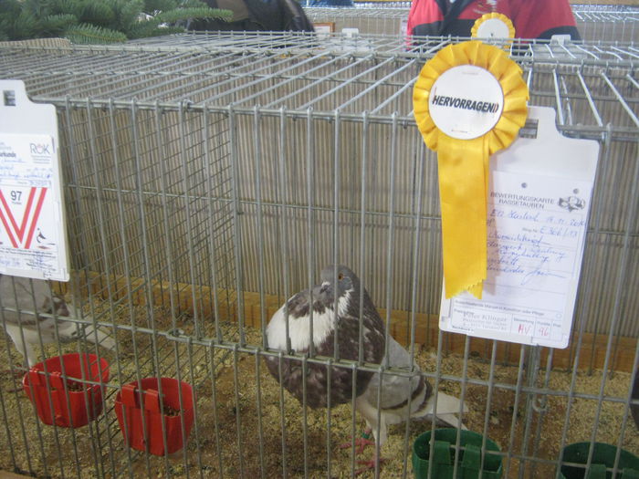 eferding_haslach 102