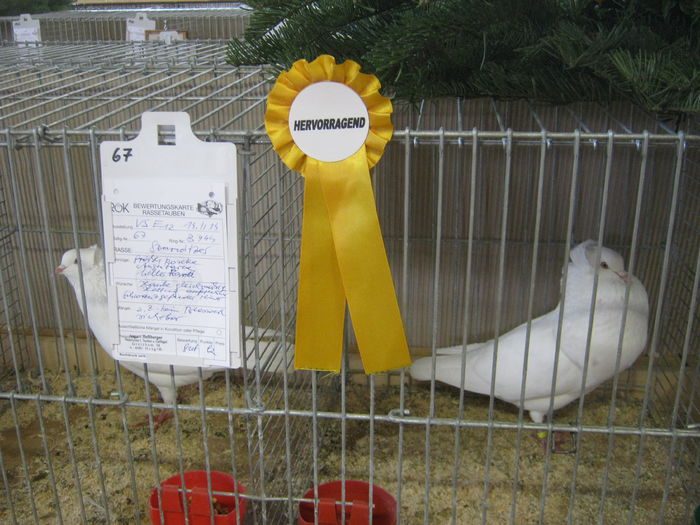 eferding_haslach 103