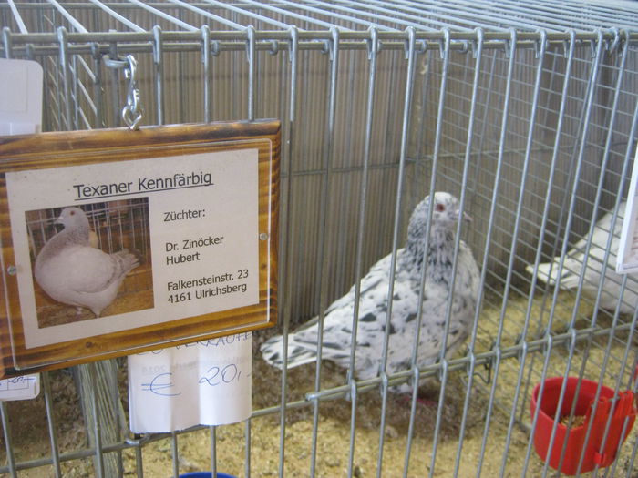 eferding_haslach 105