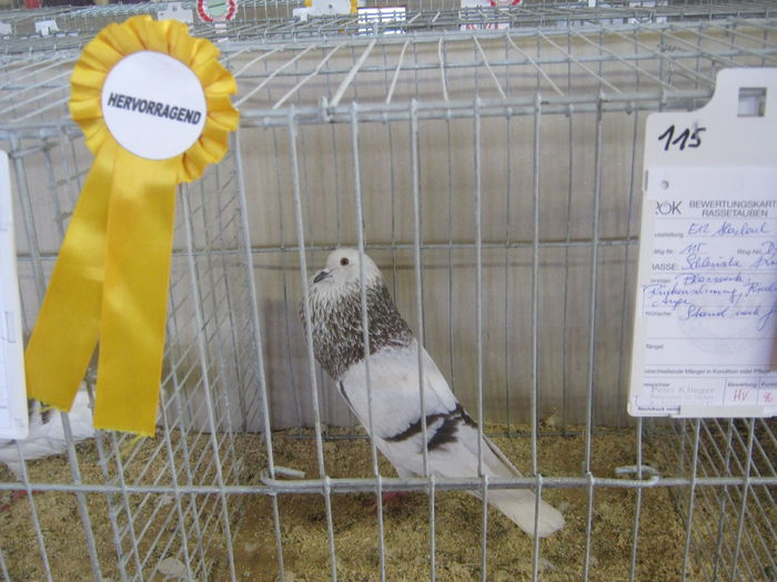 eferding_haslach 106