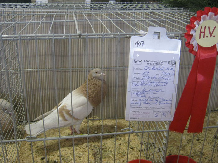 eferding_haslach 107