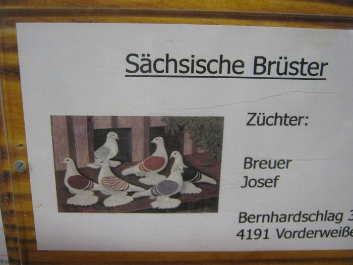 eferding_haslach 110