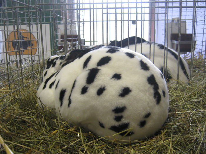 eferding_haslach 112