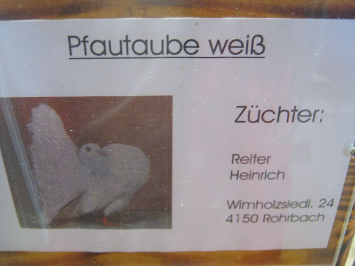 eferding_haslach 119