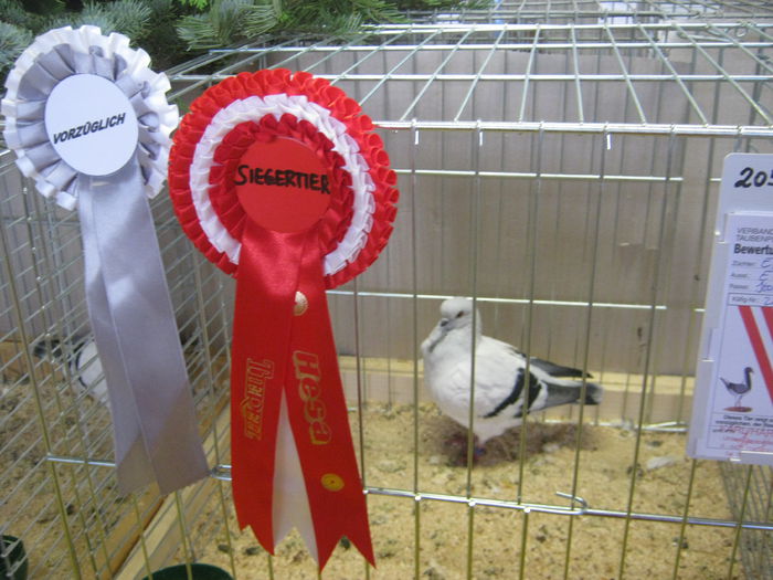 eferding_haslach 121