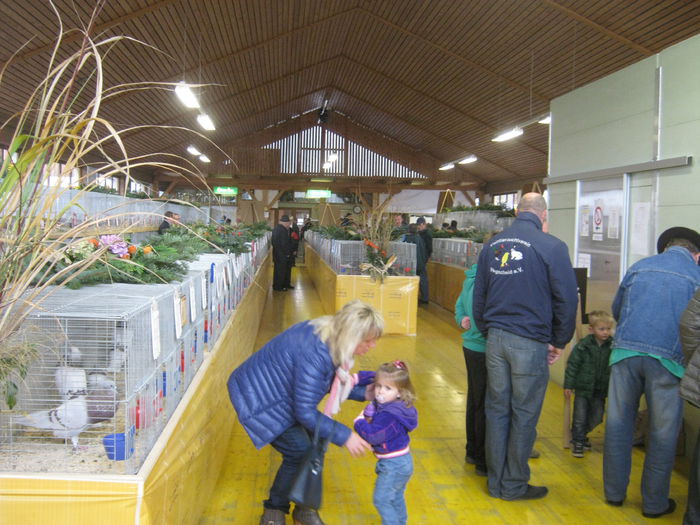 eferding_haslach 128