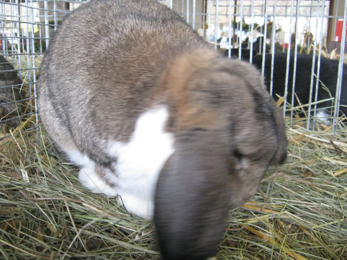 eferding_haslach 143