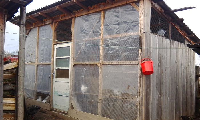 pregatita de iarna nov. 2014 - Voliera