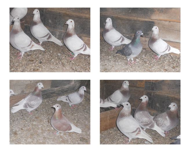 1017214_188640654630560_627705725_n