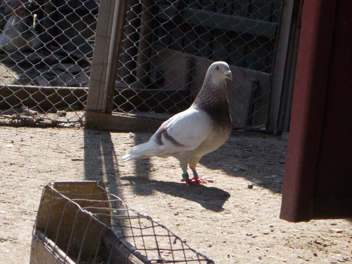 10329061_284130595081565_5941660042445225327_n