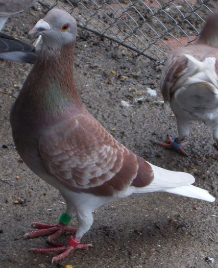 10329947_335748613253096_1857027546195251454_o