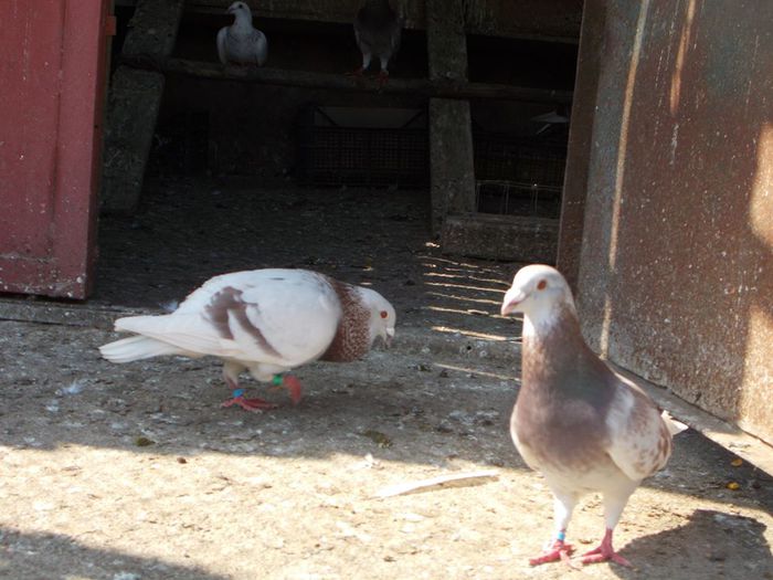 10341709_284130655081559_8079778799726735003_n