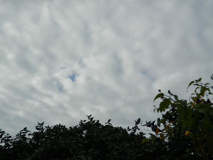 DSCN4079 - NOIEMBRIE_3_2014