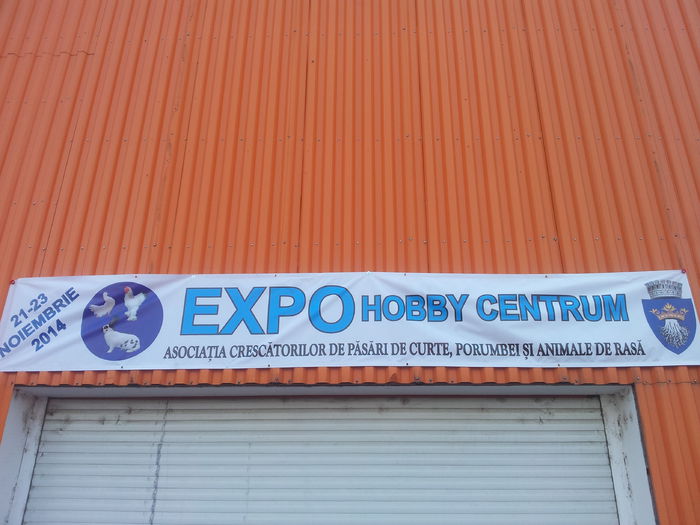 Expo Brasov 22-11-2014