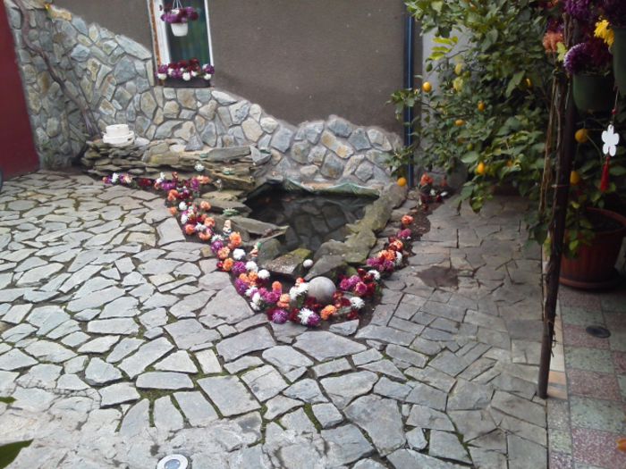 TOAMNA IN CURTEA MEA-2014-