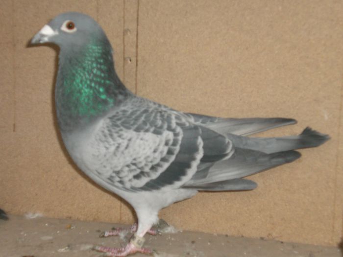 3 cls. 156,180., 348 km