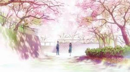 images (61) - pt edit