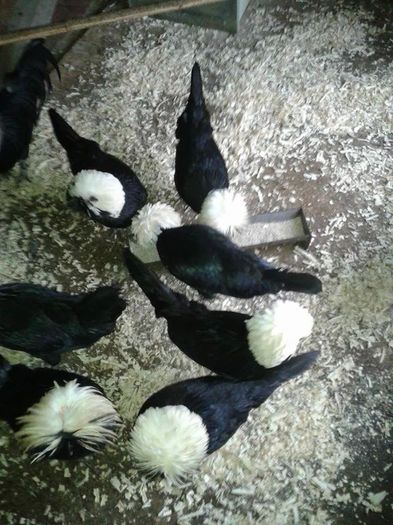 received_678851492230610