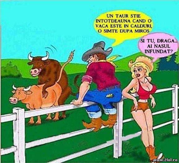 983788_782281368481983_8575276836719056676_n - DE GUSTIBUS  ET COLORIBUS NON DISPUTANDUM