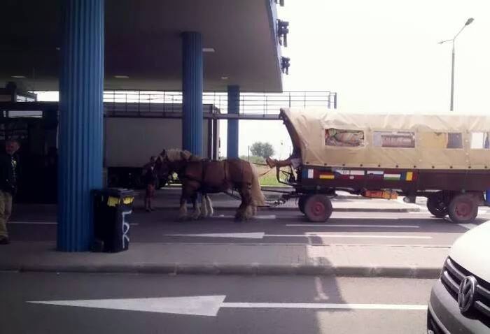 10563161_756257737758824_9074455951440612842_n - DE GUSTIBUS  ET COLORIBUS NON DISPUTANDUM