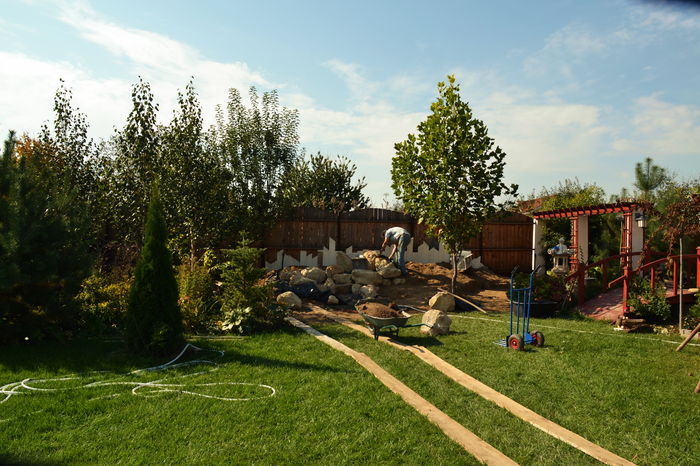 Waterfeature - West border_0484