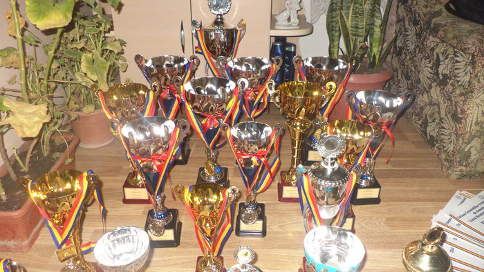 DSC01537 - REZULTATE 2014