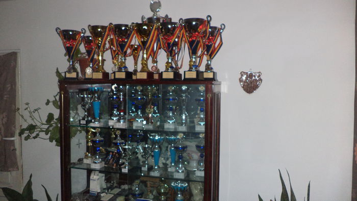 DSC01543 - REZULTATE 2014
