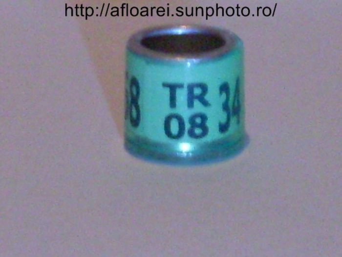 tr 08 - TURCIA-TR