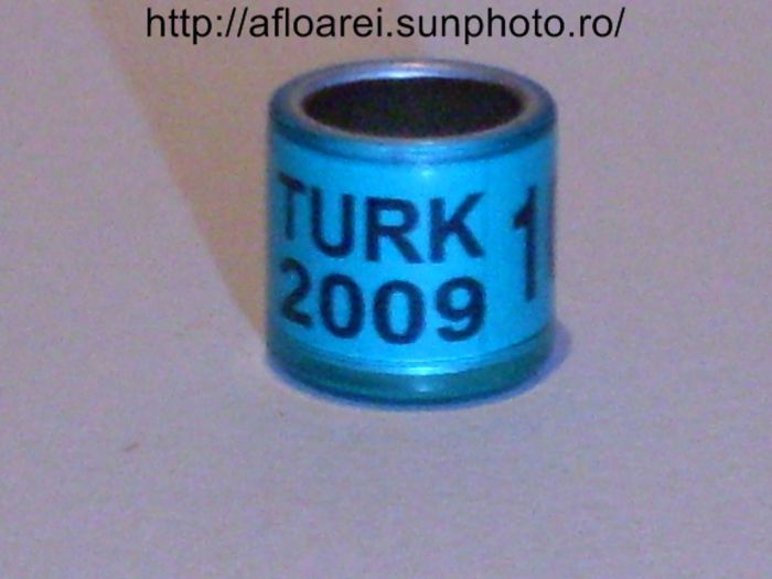 turk 2009
