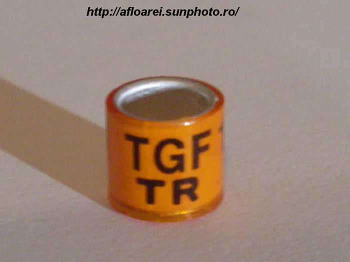 tgf tr 2011 - TURCIA-TR