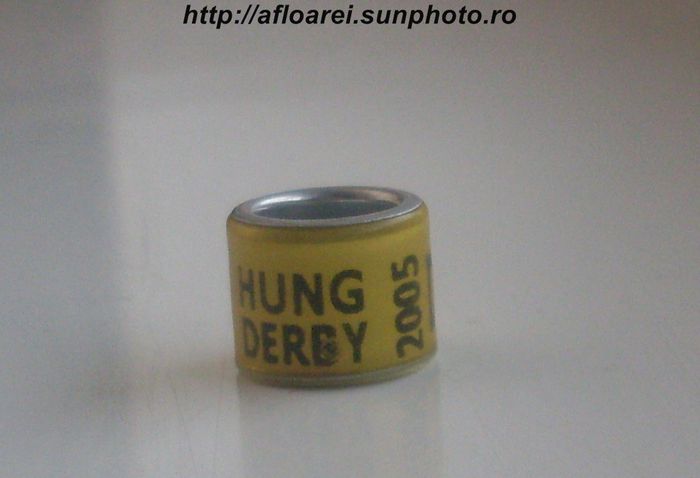 hung derby 2005 - DERBY