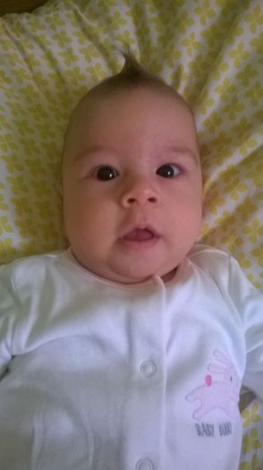 WP_20141010_004 - Copie - Flavius alexandru