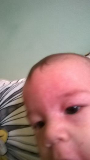 WP_20141026_011 - Copie - Flavius alexandru