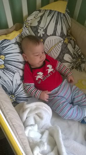 WP_20141028_001 - Copie - Flavius alexandru