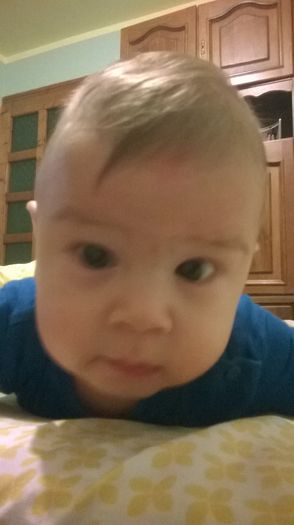 WP_20141115_015 - Copie - Flavius alexandru