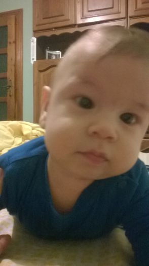 WP_20141115_021 - Copie - Flavius alexandru