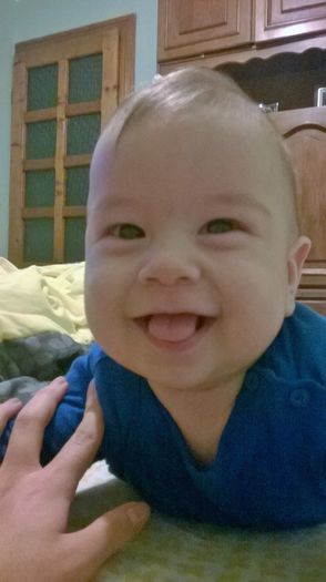 WP_20141115_022 - Copie - Flavius alexandru