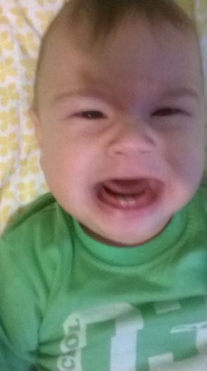 WP_20141117_004 - Copie - Flavius alexandru