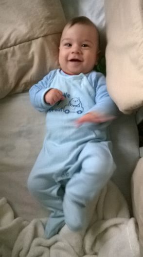 WP_20141120_009 - Copie - Flavius alexandru