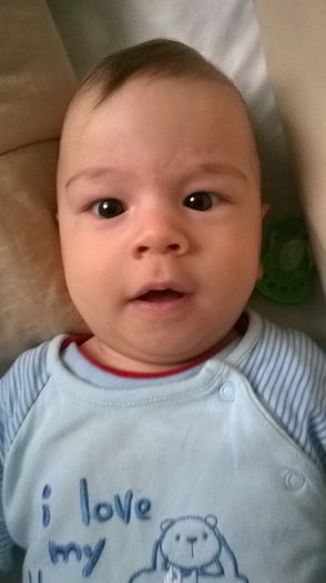 WP_20141120_012 - Copie - Flavius alexandru