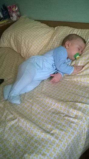 WP_20141120_022 - Flavius alexandru