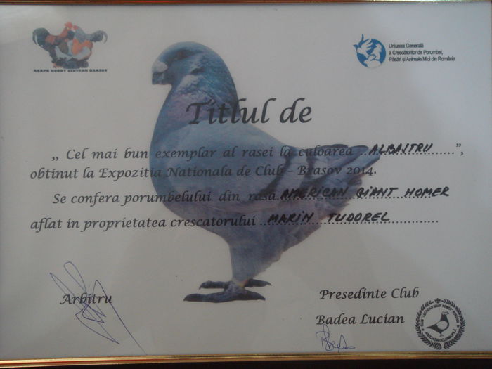 Cel mai bun exemplar al rasei