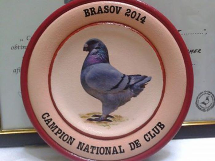 CAMPION NATIONAL DE CLUB 2014 - VITRINA CU TROFEE