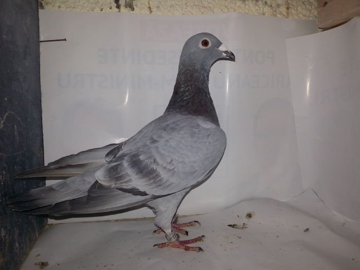 20141122_134728; Iansan arden
