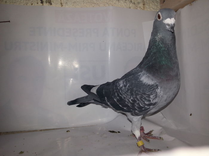 20141122_134115; Arden
