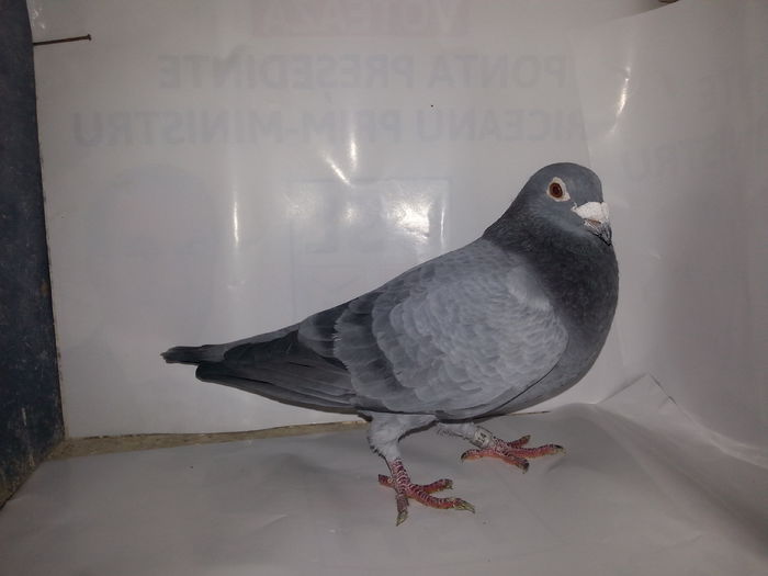 20141122_133426; Huben van loon chicheanu fiu 718 loc 1 national expo 2009
