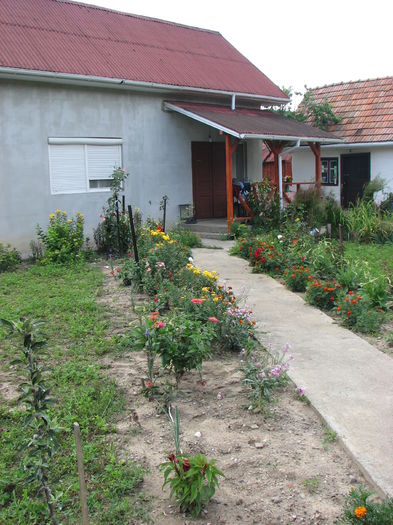 IMG_2683 - Irisi 2014